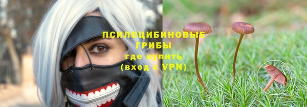 мет Армянск