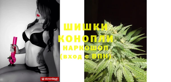 молекула духа Пересвет