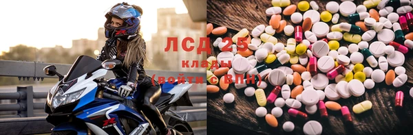 гашик Аркадак