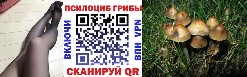 Псилоцибиновые грибы мицелий  Певек 